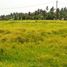  Land for sale in Selemadeg, Tabanan, Selemadeg