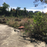  Grundstück zu verkaufen in Cuernavaca, Morelos, Cuernavaca, Morelos