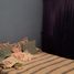 2 Schlafzimmer Haus zu verkaufen in Moron, Buenos Aires, Moron
