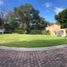  토지을(를) San Andres Cholula, 푸에블라에서 판매합니다., San Andres Cholula