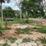  Grundstück zu verkaufen in Conkal, Yucatan, Conkal