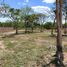  Grundstück zu verkaufen in Conkal, Yucatan, Conkal