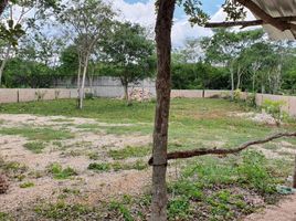  Grundstück zu verkaufen in Conkal, Yucatan, Conkal