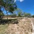  Grundstück zu verkaufen in Conkal, Yucatan, Conkal