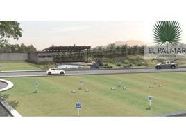  Terreno (Parcela) en venta en Ameca, Jalisco, Ameca