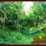  Land for sale in Selemadeg, Tabanan, Selemadeg