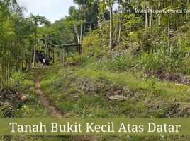  Land for sale in Yogyakarta, Tepus, Gunung Kidul, Yogyakarta