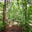 Studio House for sale in Campeche, Campeche, Campeche, Campeche