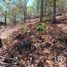  Land for sale in San Cristobal De Las Casas, Chiapas, San Cristobal De Las Casas, Chiapas