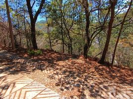  Land for sale in San Cristobal De Las Casas, Chiapas, San Cristobal De Las Casas, Chiapas