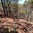  Land for sale in San Cristobal De Las Casas, Chiapas, San Cristobal De Las Casas, Chiapas