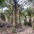  Land for sale in Sabaneta Antioquia, Sabaneta