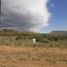  Land for sale in Alumine, Neuquen, Alumine