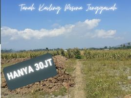  Land for sale in Jenggawah, Jember, Jenggawah