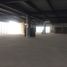 10,000 平米 Office for rent in Campeche, Carmen, Campeche