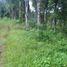  Land for sale in Selemadeg, Tabanan, Selemadeg