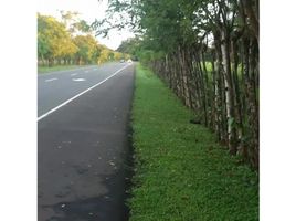  Land for sale in Chiriqui, Dolega, Dolega, Chiriqui