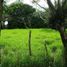  Terrain for sale in Dolega, Chiriqui, Dolega, Dolega