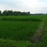  Land for sale in Wringin Anom, East Jawa, Wringin Anom