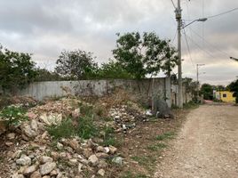  Grundstück zu verkaufen in Conkal, Yucatan, Conkal, Yucatan