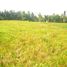  Land for sale in Tampak Siring, Gianyar, Tampak Siring