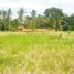  Land for sale in Tampak Siring, Gianyar, Tampak Siring