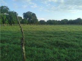  Terreno (Parcela) en venta en Monteria, Córdoba, Monteria