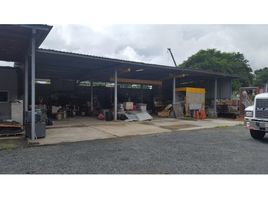  Land for sale in Pedregal, Panama City, Pedregal