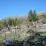  Land for sale in Rio Negro, Bariloche, Rio Negro