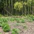  Terreno (Parcela) en venta en Ulloa, Valle Del Cauca, Ulloa