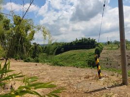  Terreno (Parcela) en venta en Ulloa, Valle Del Cauca, Ulloa