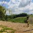  Land for sale in Ulloa, Valle Del Cauca, Ulloa