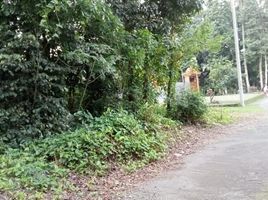  Land for sale in Ngemplak, Sleman, Ngemplak