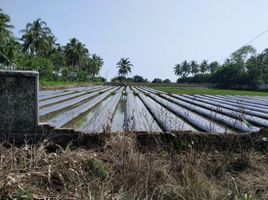  Terrain for sale in Banjar, Pandeglang, Banjar