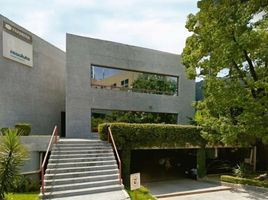 195 m² Office for rent in Monterrey, Nuevo Leon, Monterrey