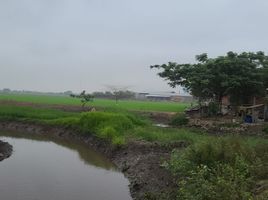  Terreno (Parcela) en venta en Samborondón, Guayas, Samborondon, Samborondón