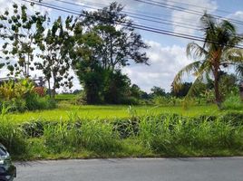  Land for sale in Depok, Sleman, Depok