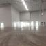 5,561 m² Office for rent in Tepotzotlan, Mexico, Tepotzotlan