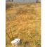  Land for sale in Tulancingo De Bravo, Hidalgo, Tulancingo De Bravo