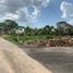  Terreno (Parcela) en venta en Yaxkukul, Yucatán, Yaxkukul
