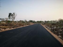  Terreno (Parcela) en venta en Yaxkukul, Yucatán, Yaxkukul