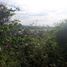  Land for sale in Bauang, Ilocos, Bauang