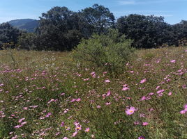  Land for sale in Amealco De Bonfin, Queretaro, Amealco De Bonfin