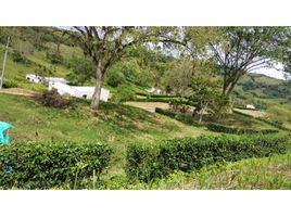  Terreno (Parcela) en venta en Caldas, Neira, Caldas