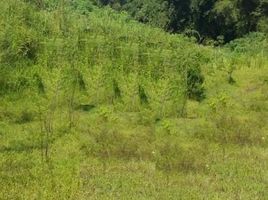  Land for sale in Sukabumi, West Jawa, Sukabumi, Sukabumi