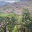  Land for sale in Mazamitla, Jalisco, Mazamitla