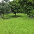  Land for sale in Bogor Selatan, Bogor, Bogor Selatan