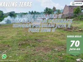  Land for sale in Jenggawah, Jember, Jenggawah