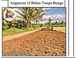  Land for sale in Kepanjen, Malang Regency, Kepanjen