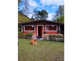 4 Habitación Casa en venta en Guarne, Antioquia, Guarne